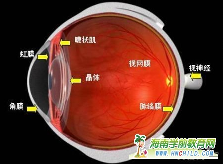 Pad伤害孩子视力 家长切勿将平板当早教机