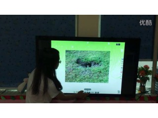 课程视频分享: 新民幼儿园李玉老师