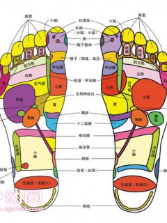 脚底穴位图参考 长