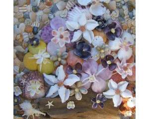 手工制作：贝壳开出的花，美哭啦
