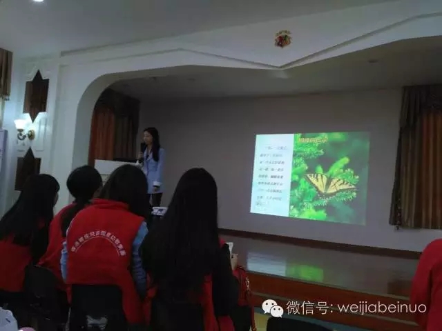 11.webp